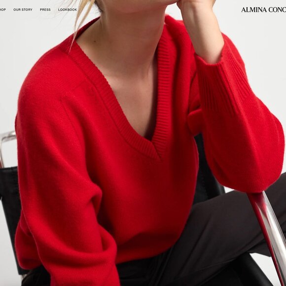 NWT Almina Concept Wool V Neck Sweater - Picture 4 of 9